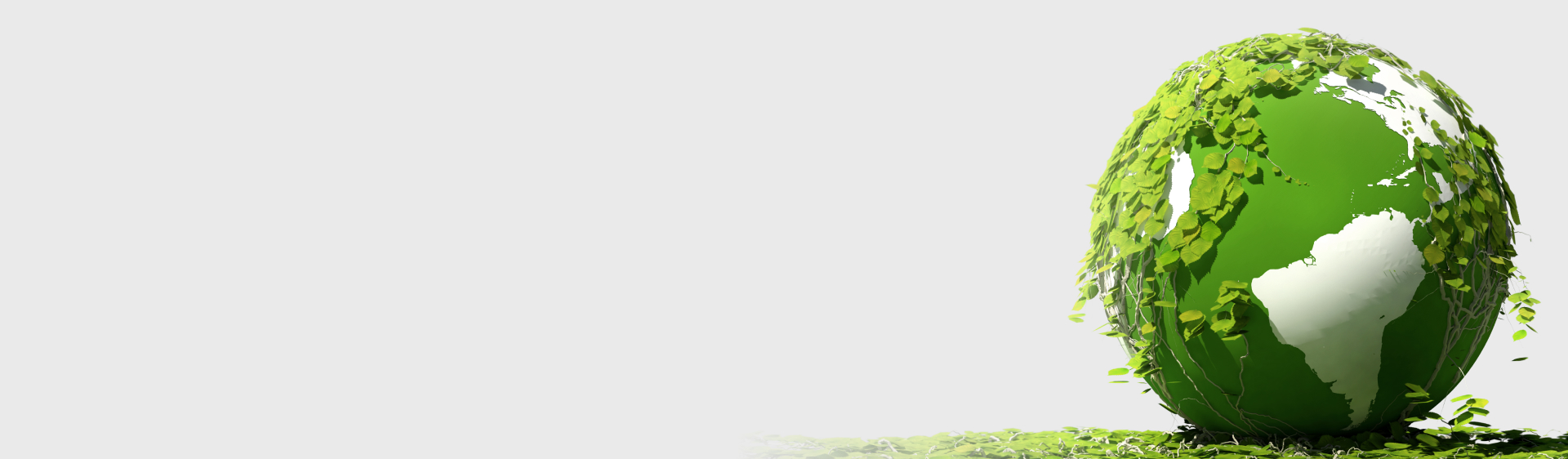 Alternative Bestattungsarten in Hamburg und Umland